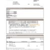 USA City Bank statement easy to fill template in .xls and .pdf file format