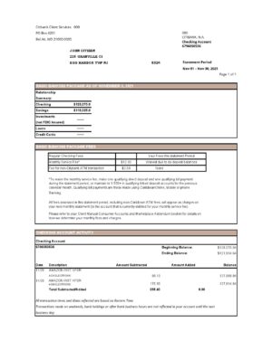 USA Editable Templates 13 USA City Bank statement easy to fill template in .xls and .pdf file format
