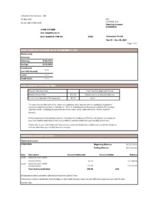 USA City Bank statement easy to fill template in .xls and .pdf file format