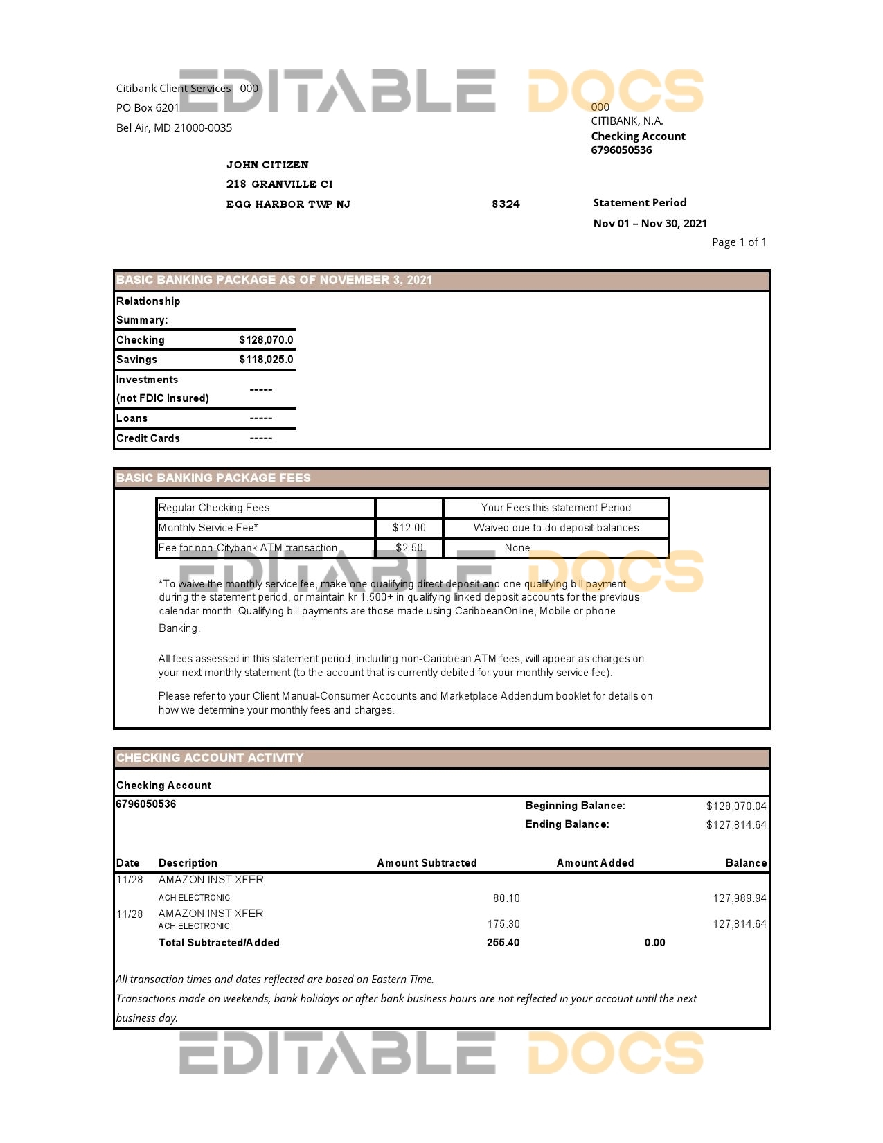USA City Bank statement easy to fill template in .xls and .pdf file format