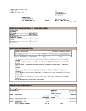 USA Editable Templates 14 USA City Bank statement template in Word and PDF format