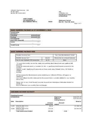 USA City Bank statement template in Word and PDF format