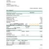 USA Commerce Bank statement easy to fill template in Excel and PDF format