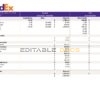 USA Fedex transportation company pay stub Word and PDF template