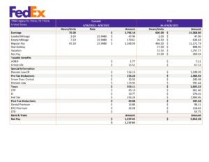 USA Editable Templates 5 USA Fedex transportation company pay stub Word and PDF template