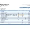 USA First Bank of Wiki bank statement easy to fill template in .xls and .pdf file format