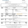 USA Georgia SunTrust bank statement template in Word and PDF format (For Sole Proprietor)