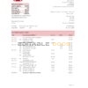 USA HSBC bank statement template in Excel and PDF format