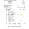 USA Heritage bank statement template in Excel and PDF format (3 pages)