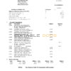 USA Heritage bank statement template in Word and PDF format (3 pages)