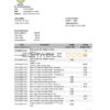 USA MOVO bank statement template in Excel and PDF format