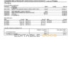 USA Maryland Howard Business bank statement template, Word and PDF format (.doc and .pdf) (4 pages)