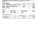 USA Maryland Howard Business bank statement template, Word and PDF format (.doc and .pdf) (4 pages)