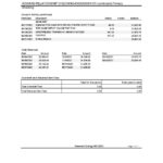 USA Maryland Howard Personal bank statement template, Excel and PDF format (.xls and .pdf) (4 pages)