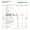 USA Massachusetts Radius Bank statement template in Word and PDF format