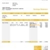 USA Michael Courtney Design graphic company pay stub Word and PDF template