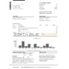 USA NAB Bank statement template in .xls and .pdf file format