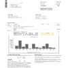 USA NAB bank statement template in Word and PDF format
