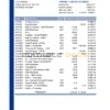 USA Nebraska Five Points Bank statement template in Excel and PDF format