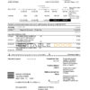 USA New York American Express Blue bank statement in Excel and PDF format