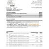 USA New York CFSB bank statement template in Excel and PDF format