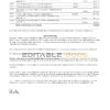 USA New York CFSB bank statement template in Excel and PDF format, 2 pages
