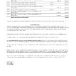 USA New York CFSB bank statement template in Excel and PDF format, 2 pages