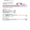 USA North Carolina BB&T Corp. bank account statement template in Excel and PDF format