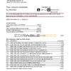 USA North Carolina BB&T Corp. bank statement template in Excel and PDF format (2 pages)
