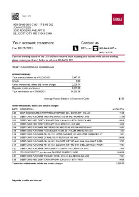 USA North Carolina BB&T Corp. bank statement template in Excel and PDF format (2 pages)