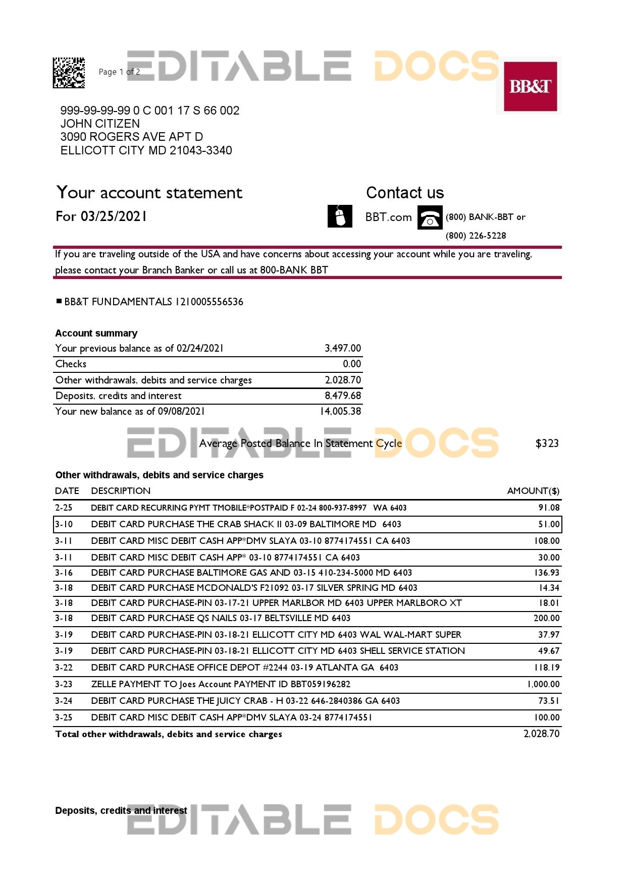 USA North Carolina BB&T Corp. bank statement template in Excel and PDF format (2 pages)