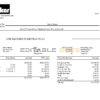 USA Parker Hannifin engineering company pay stub Word and PDF template