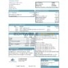 USA Springside Mortgage bank statement template in Excel and PDF format