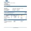 USA State Street Corporation bank statement template in Excel and PDF format