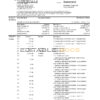 USA SunTrust bank proof of address statement template in .xls and .pdf format
