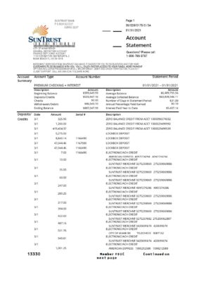 USA SunTrust bank proof of address statement template in .xls and .pdf format