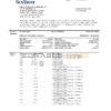 USA SunTrust bank proof of address statement template in Word and PDF format, .doc format