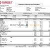 USA Target retail company pay stub Word and PDF template