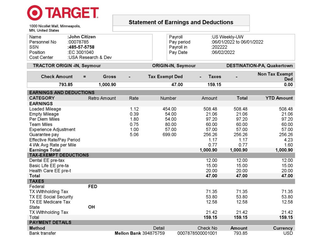 USA Target retail company pay stub Word and PDF template