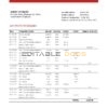 USA Texas 5Point bank statement template in Excel and PDF format