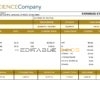 USA The Science Company science company pay stub Word and PDF template
