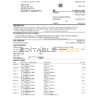 USA U.S. Bank statement template in Excel and PDF (.xls and .pdf file) format (3 pages)