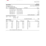 USA U.S. Bank statement template in Excel and PDF (.xls and .pdf file) format (3 pages)
