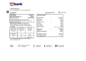 USA Editable Templates 16 USA U.S. bank credit card statement template in .doc and .pdf format