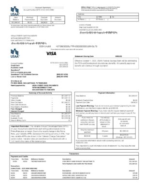 USA Editable Templates 4 USA USAA bank Credit card statement template in Word and PDF format