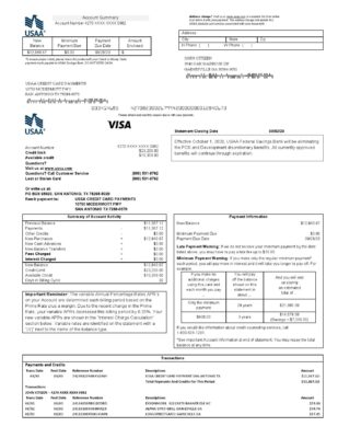 USA USAA bank Credit card statement template in Word and PDF format