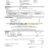 USA Wells Fargo bank credit card statement template in Word and PDF format