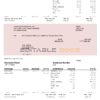 USA Honeywell conglomerate company pay stub Word and PDF template