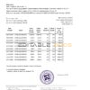 Ukraine Privatbank statement template, Word and PDF format (.doc and .pdf)