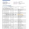 United Kingdom Metro bank statement template in Excel and PDF format